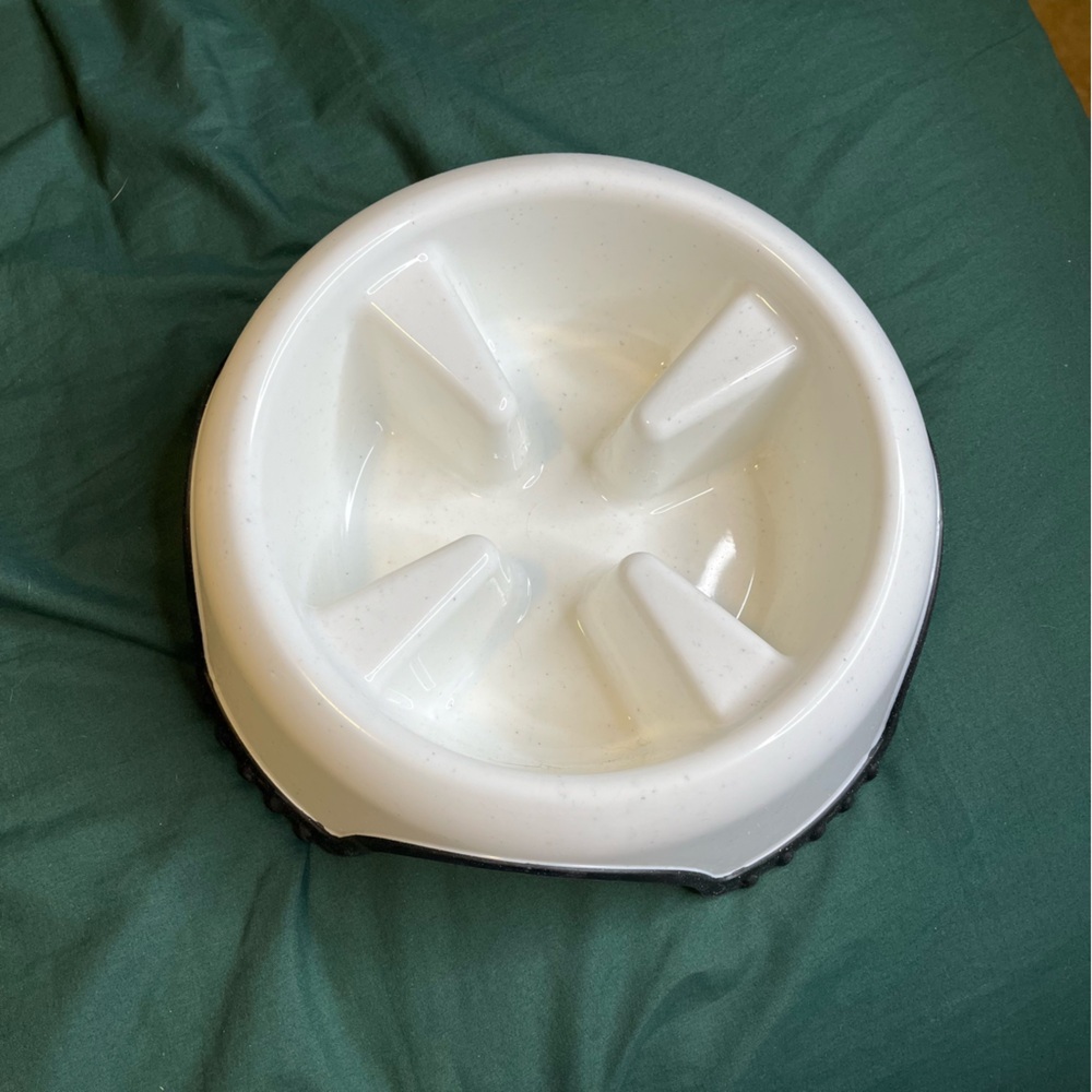 Slow Feeder dog bowl